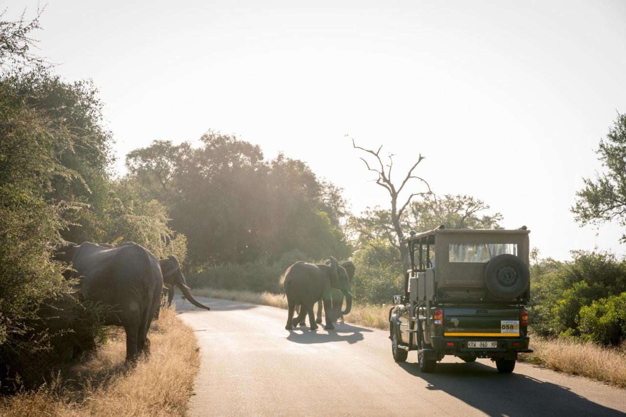Nkuhlu Tented Camp Скукуза Экстерьер фото