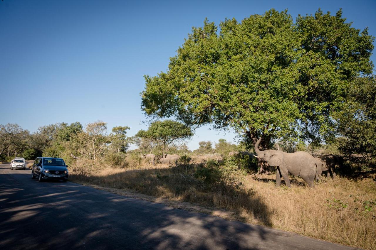Nkuhlu Tented Camp Скукуза Экстерьер фото