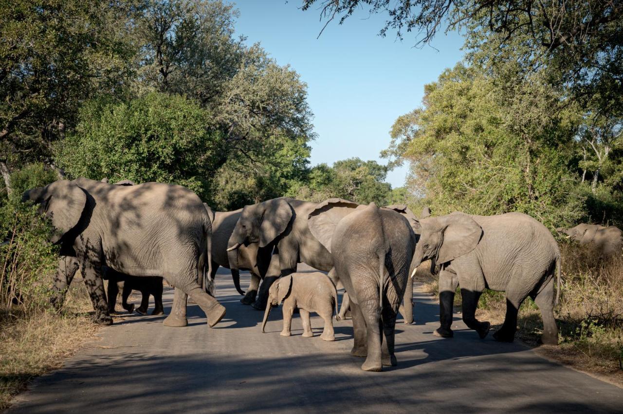 Nkuhlu Tented Camp Скукуза Экстерьер фото