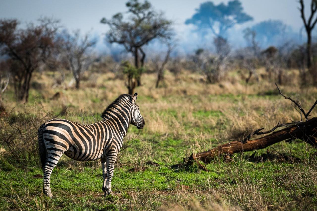 Nkuhlu Tented Camp Скукуза Экстерьер фото