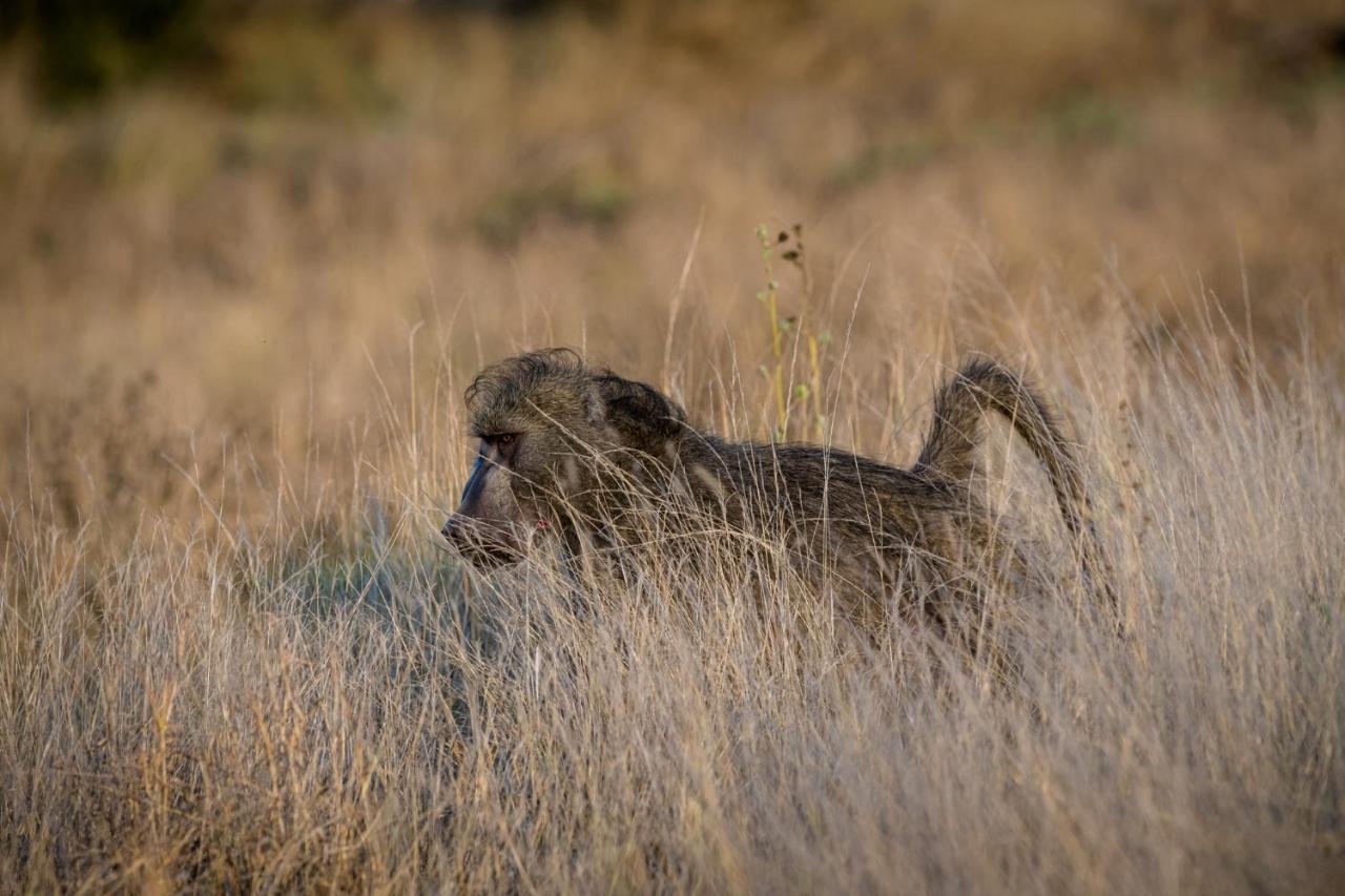 Nkuhlu Tented Camp Скукуза Экстерьер фото
