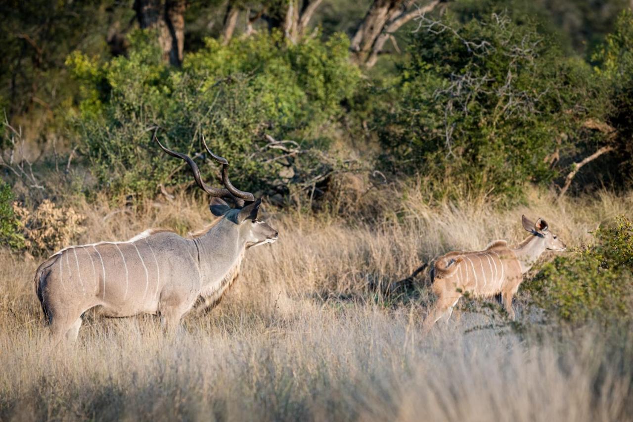 Nkuhlu Tented Camp Скукуза Экстерьер фото