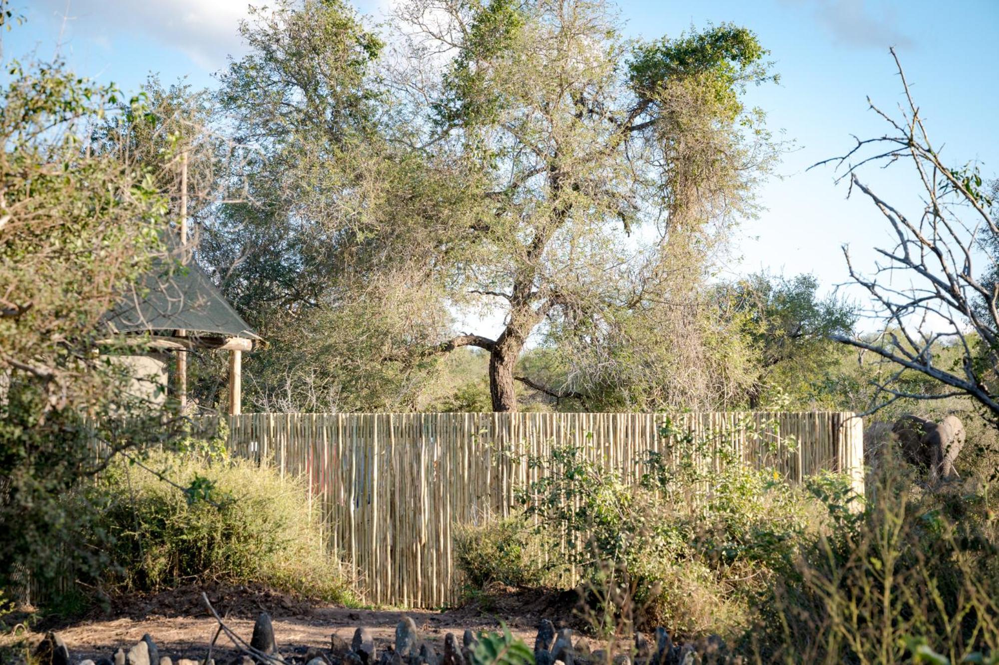 Nkuhlu Tented Camp Скукуза Экстерьер фото