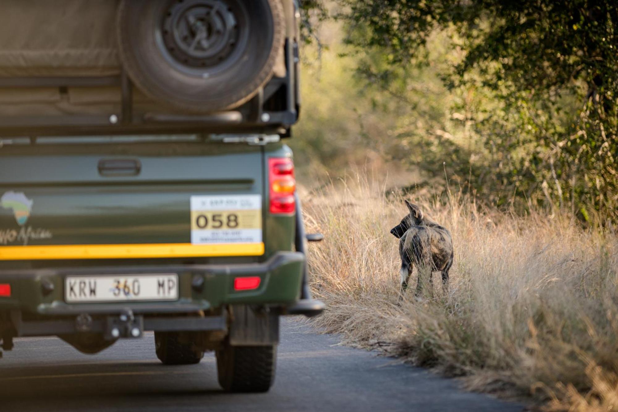 Nkuhlu Tented Camp Скукуза Экстерьер фото